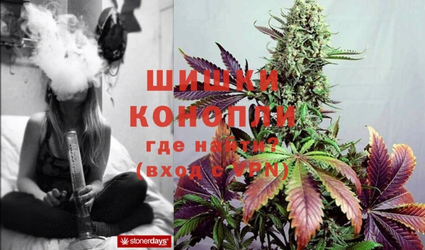 прущие крисы Белокуриха