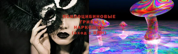 прущие крисы Беломорск