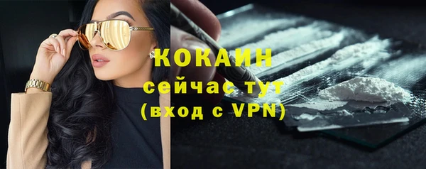 прущие крисы Беломорск