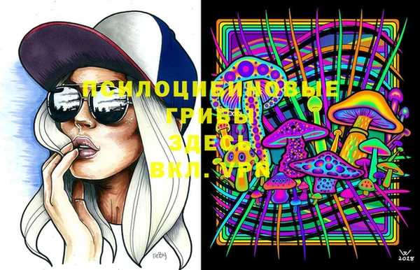 твердый Белоозёрский