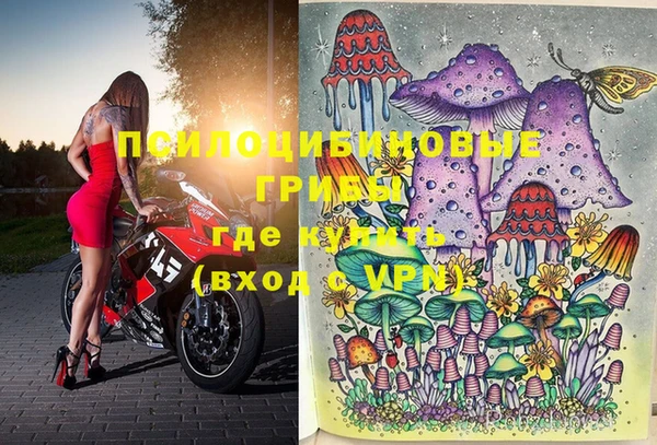 прущие крисы Белокуриха