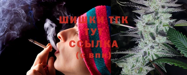 прущие крисы Белокуриха